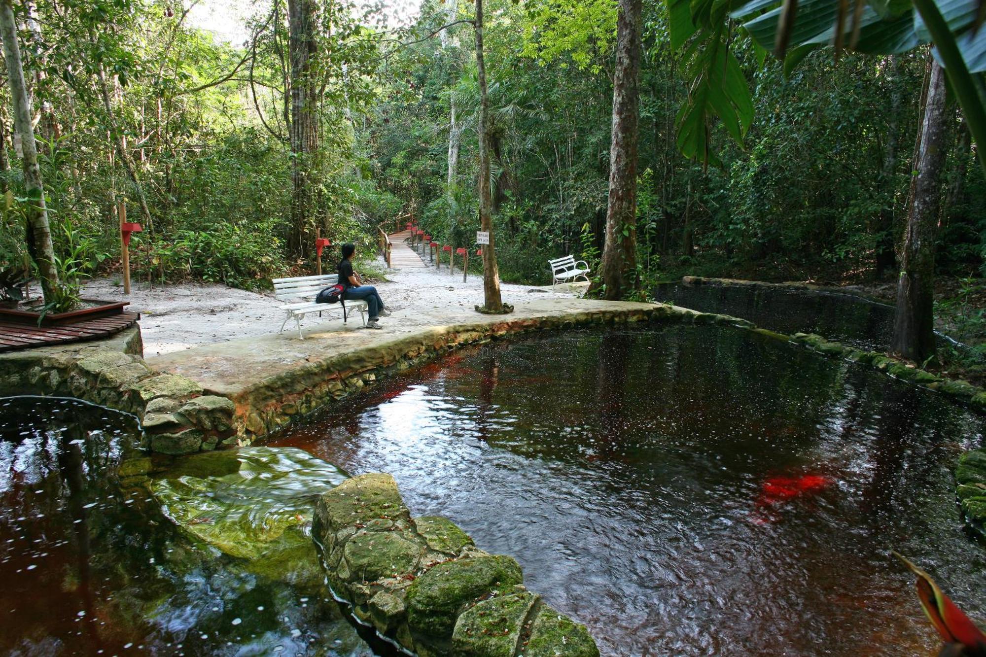 Amazon Ecopark Jungle Lodge Manaus Exterior photo