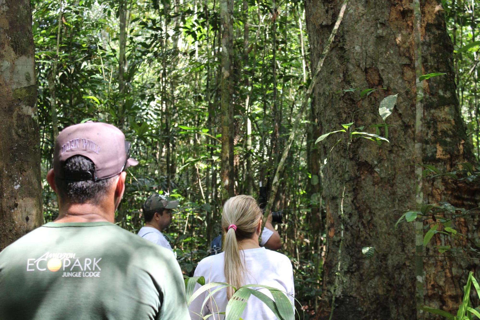 Amazon Ecopark Jungle Lodge Manaus Exterior photo